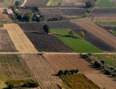 Κυβερνητική ρύθμιση για τις καταπατημένες εκτάσεις του Δημοσίου – Ποιους αφορά